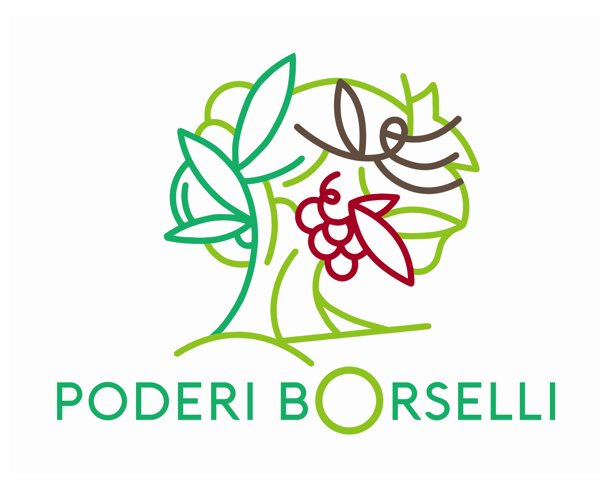 PODERI BORSELLI（ポデリ ボルセッリ） online shop