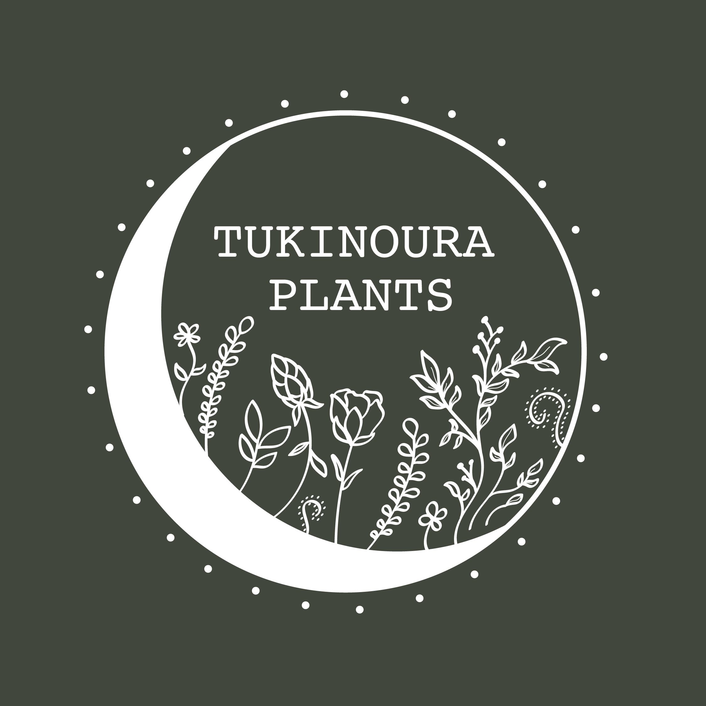 tukinoura-plants