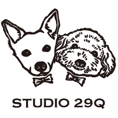 STUDIO 29Q