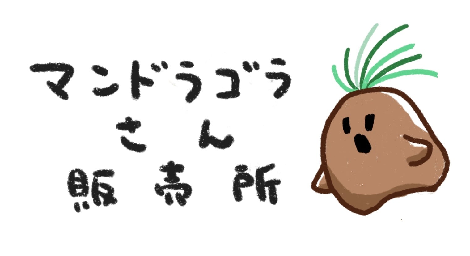 マンドラゴラさん販売所
