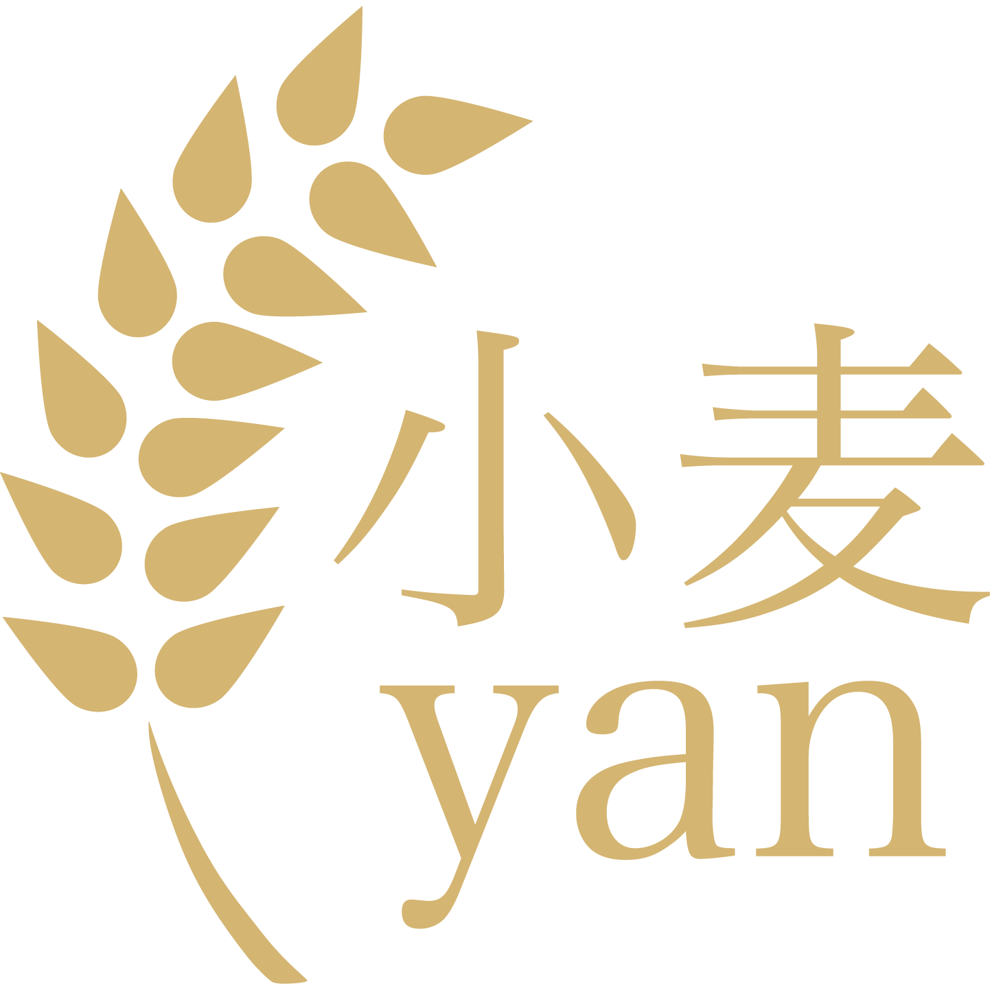 小麦yan