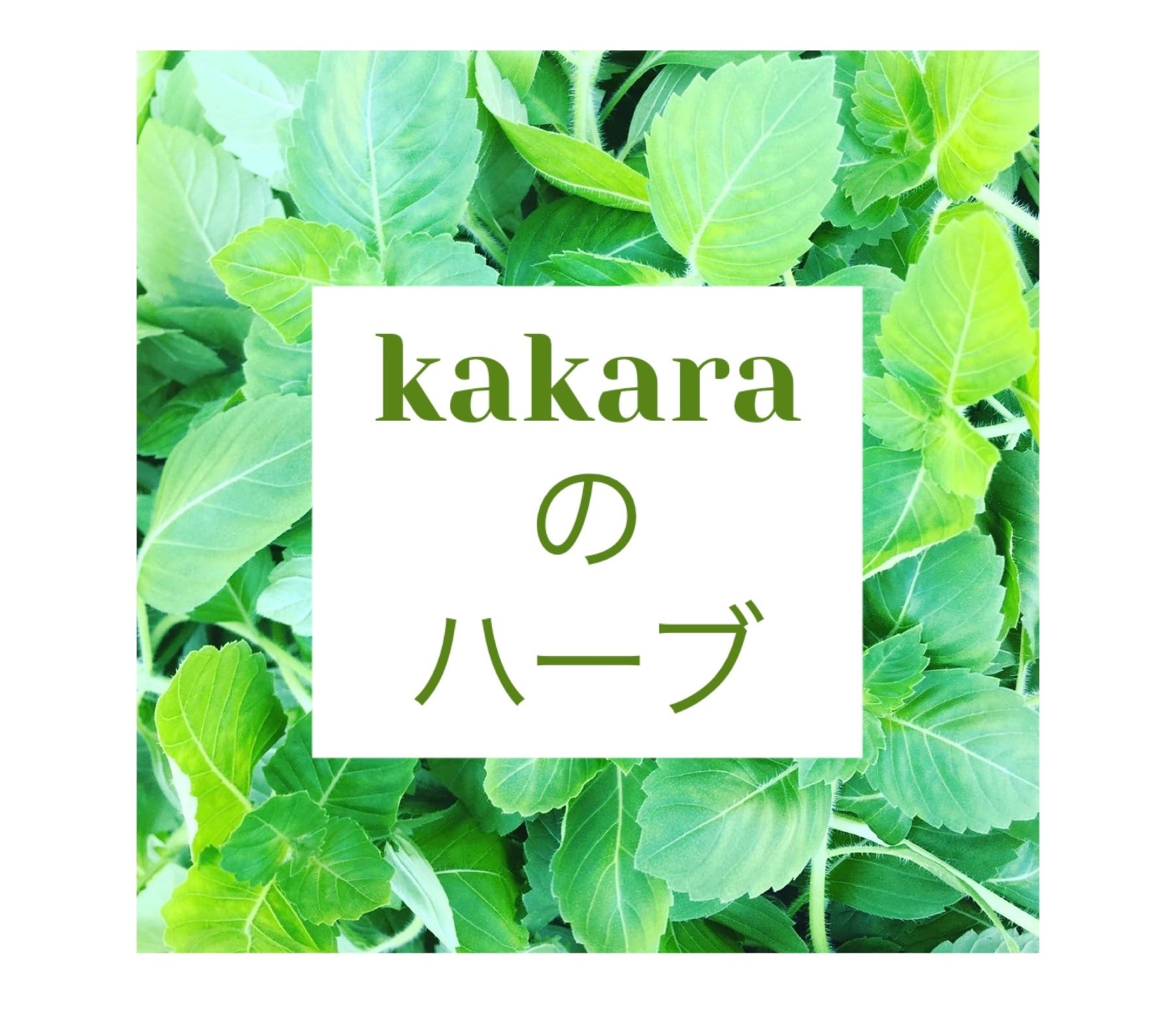 kakaraのハーブ