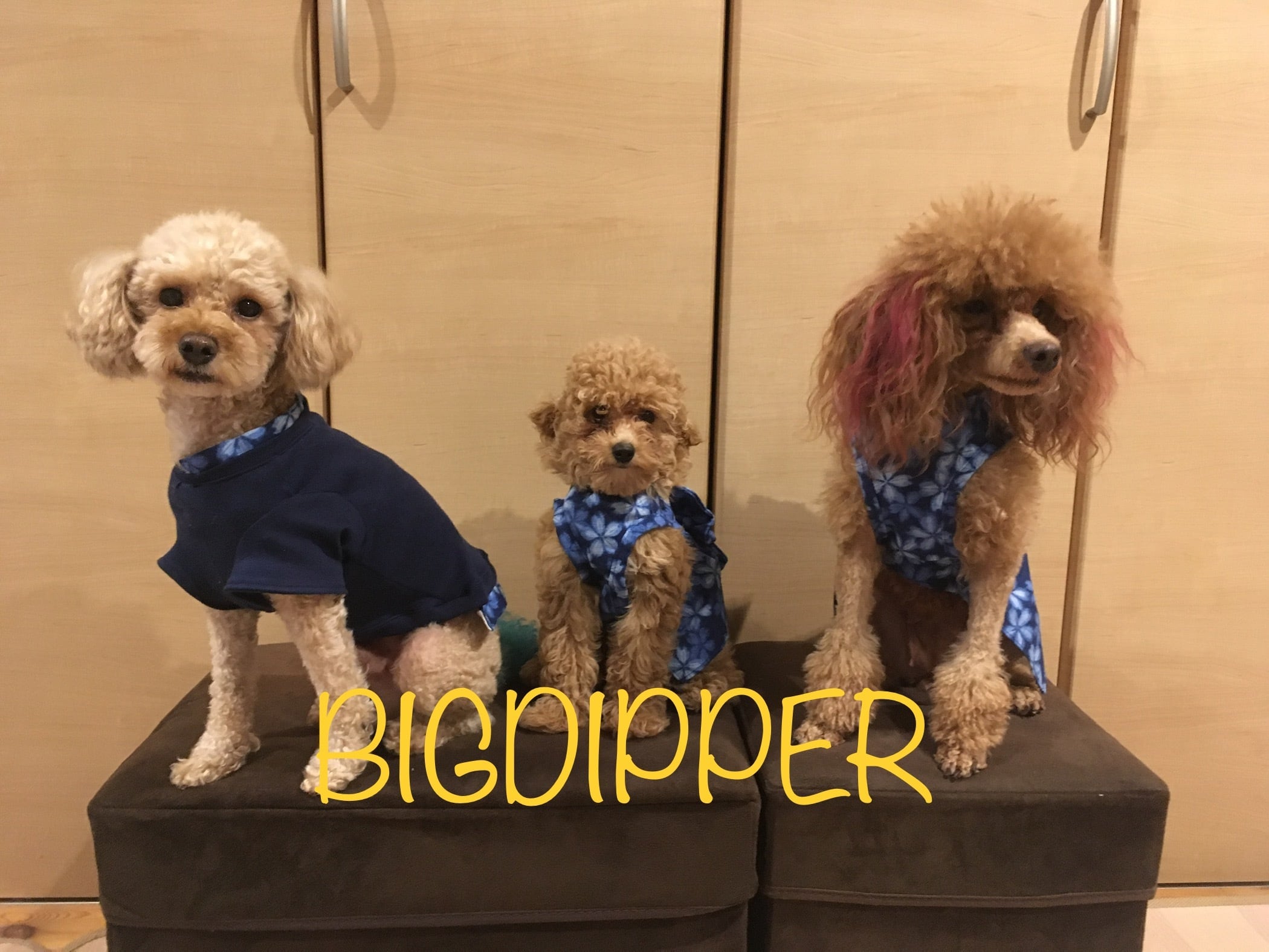BIGDIPPER