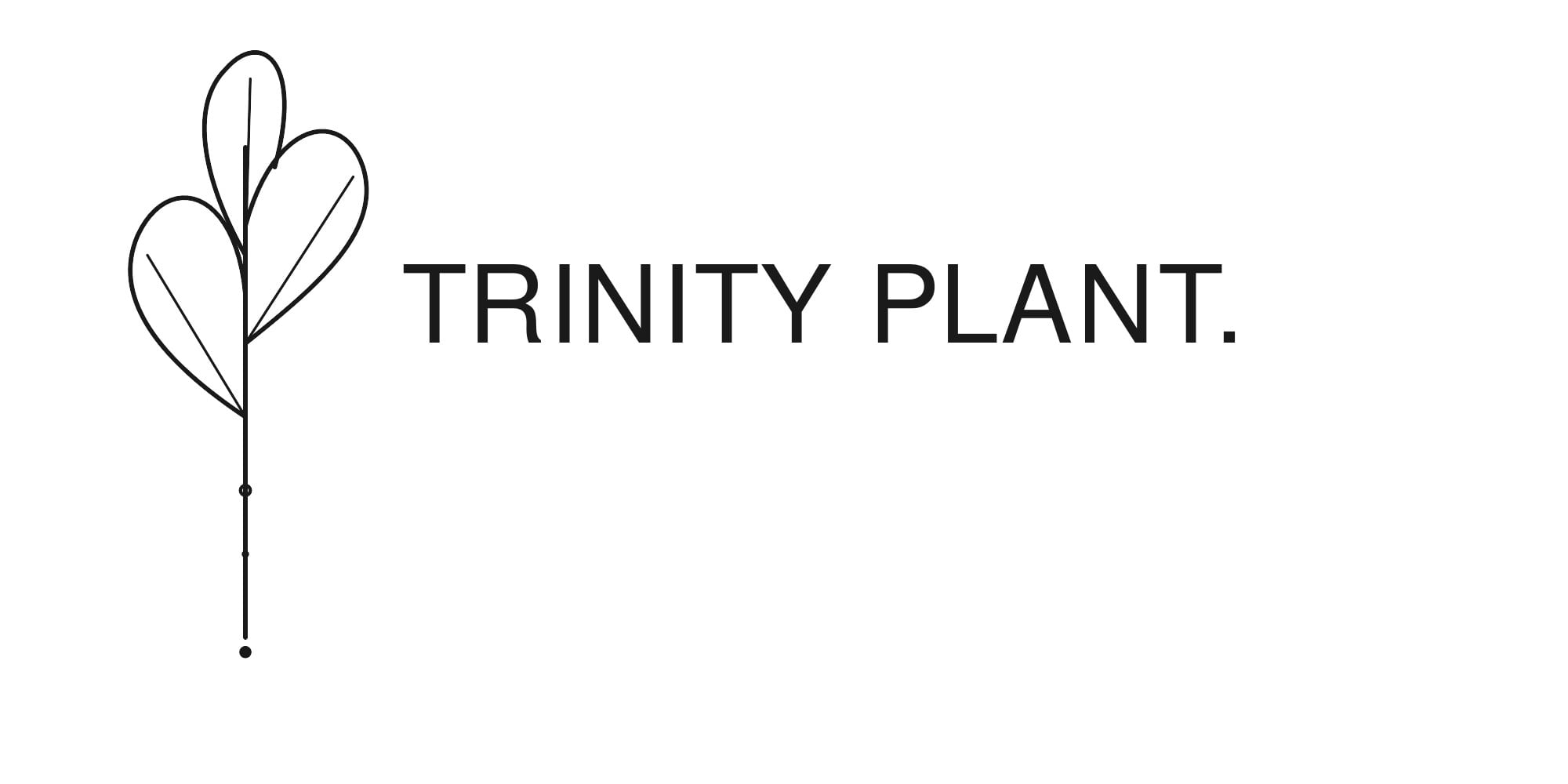 Trinity plant.