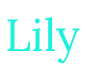Lilys-shop