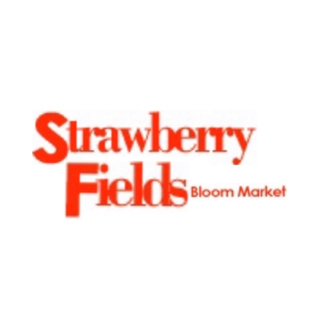 Strawberry  Fields