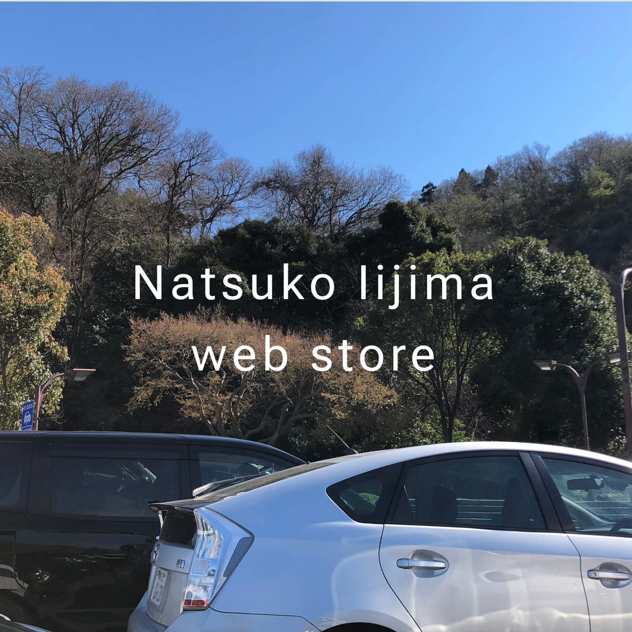 Natsuko Iijima web store