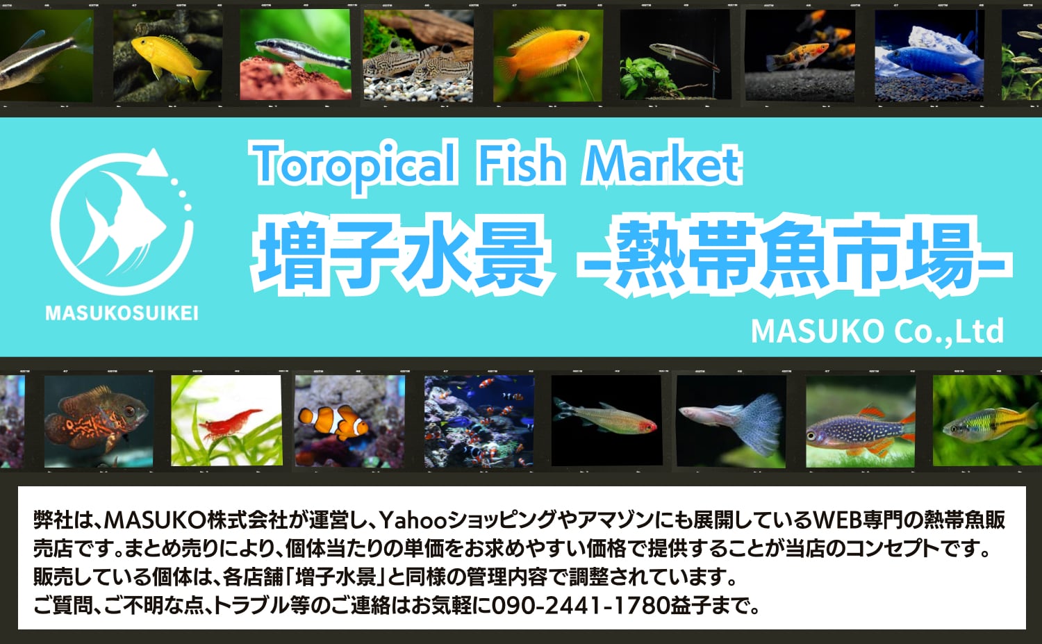 （株）MASUKO水棲生体購買部