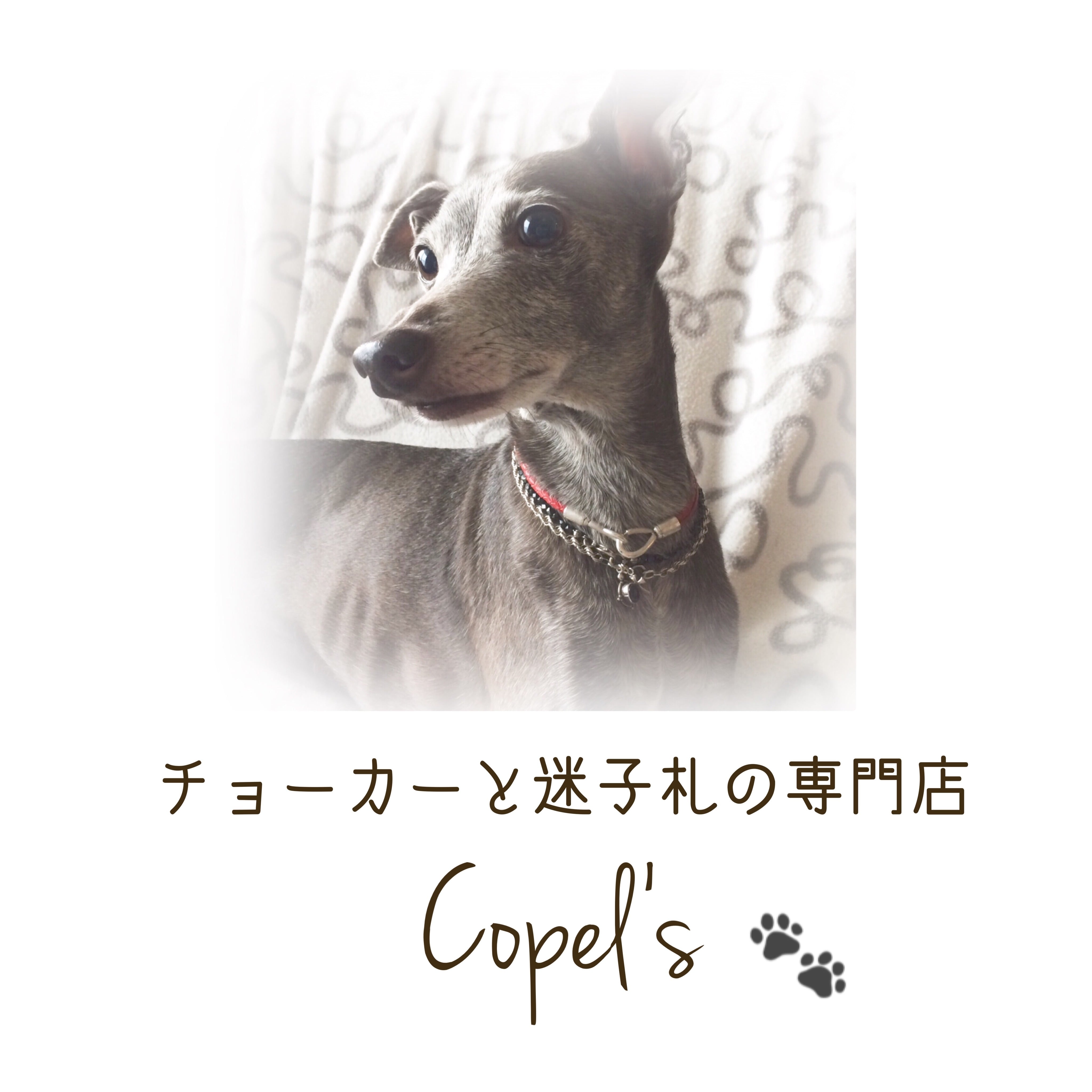 copel's gallerly ペットのチョーカー・迷子札専門店