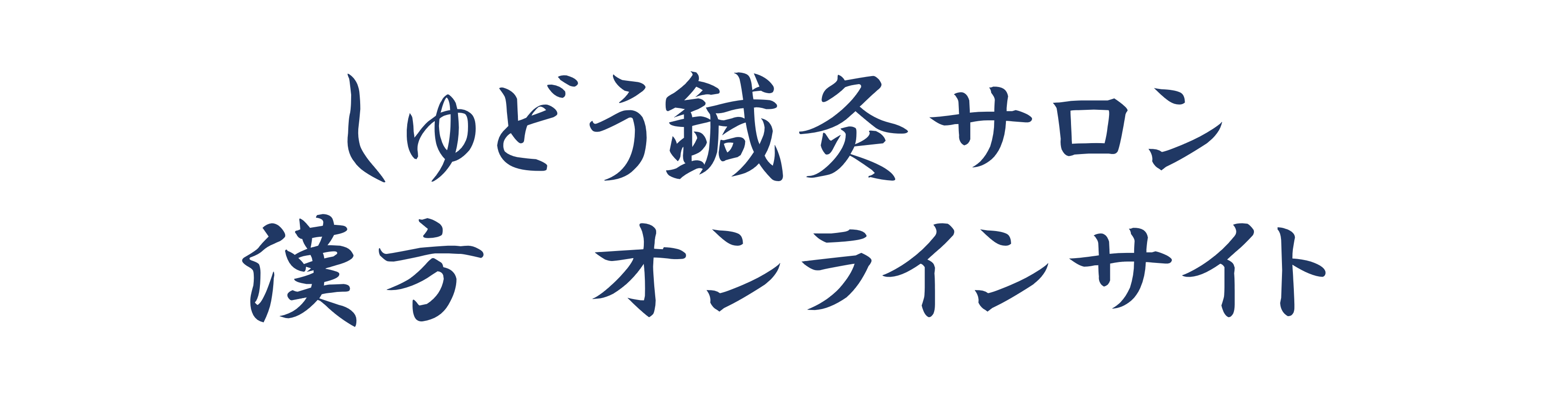 しゅどう鍼灸サロン　漢方店