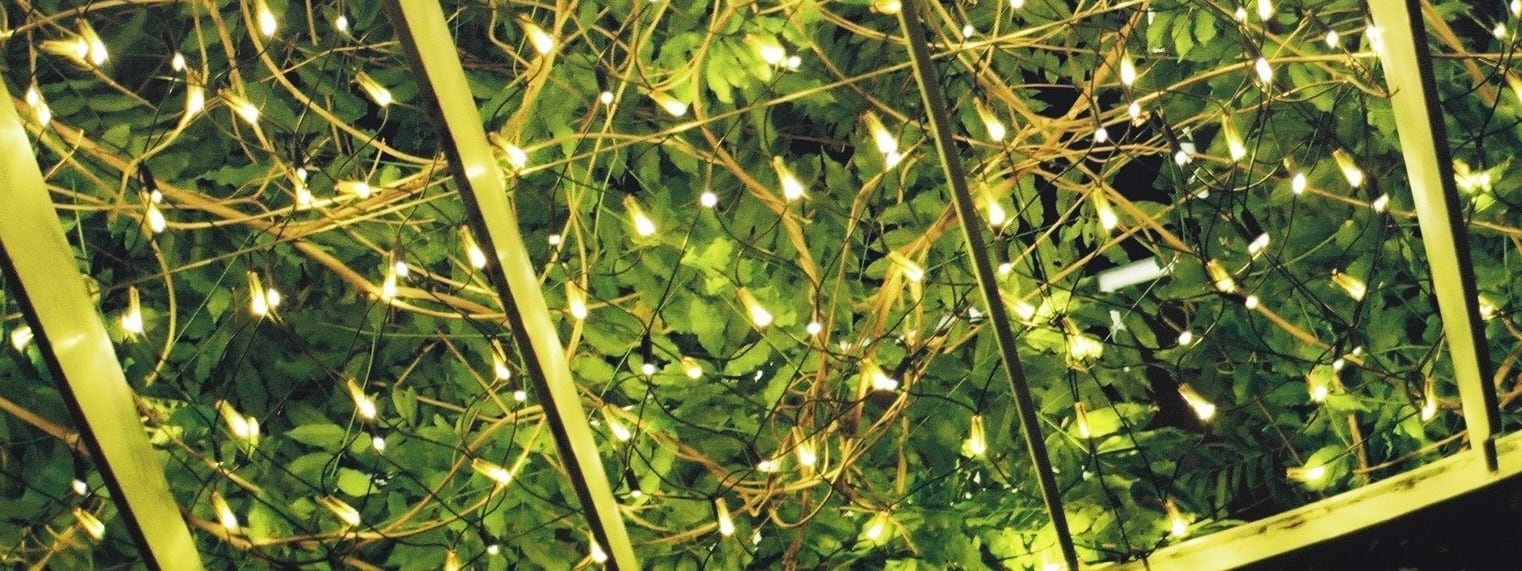 tanacamera