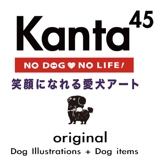 Kanta45
