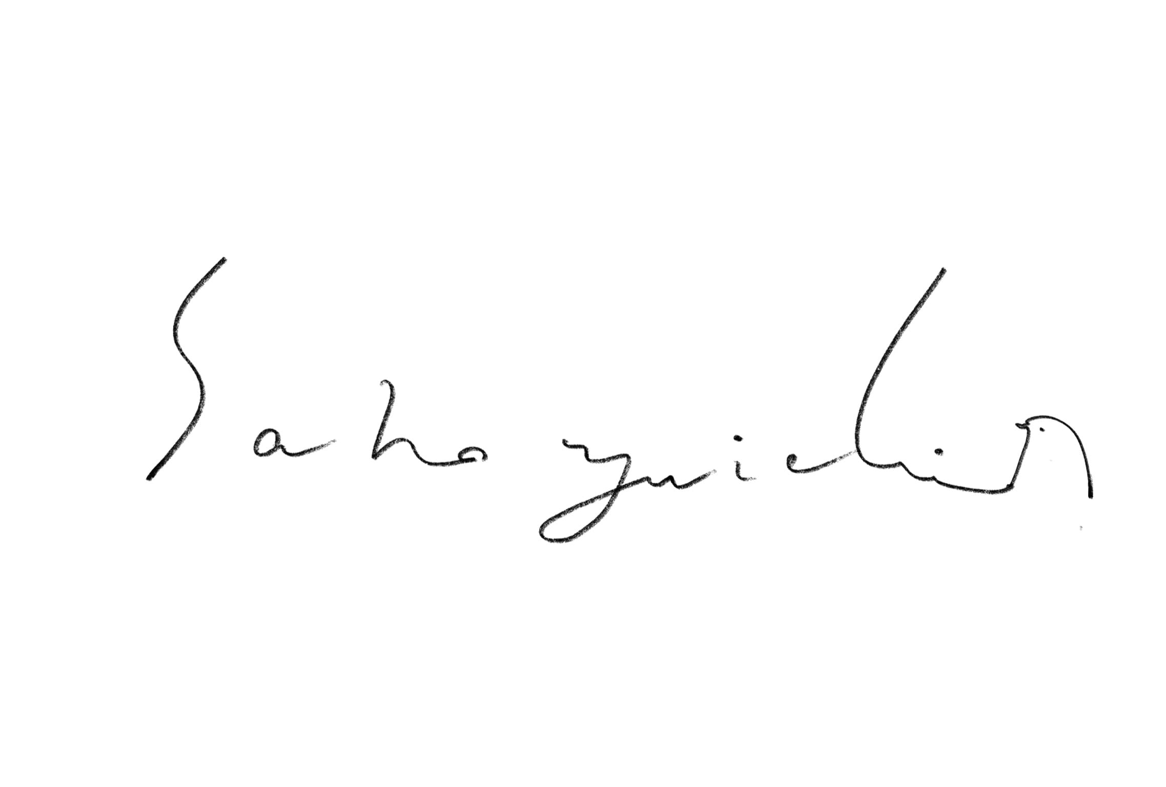 sano yuichi