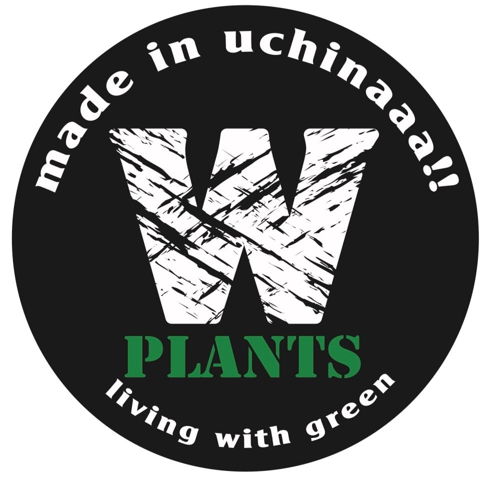 wplants.okinawa 
