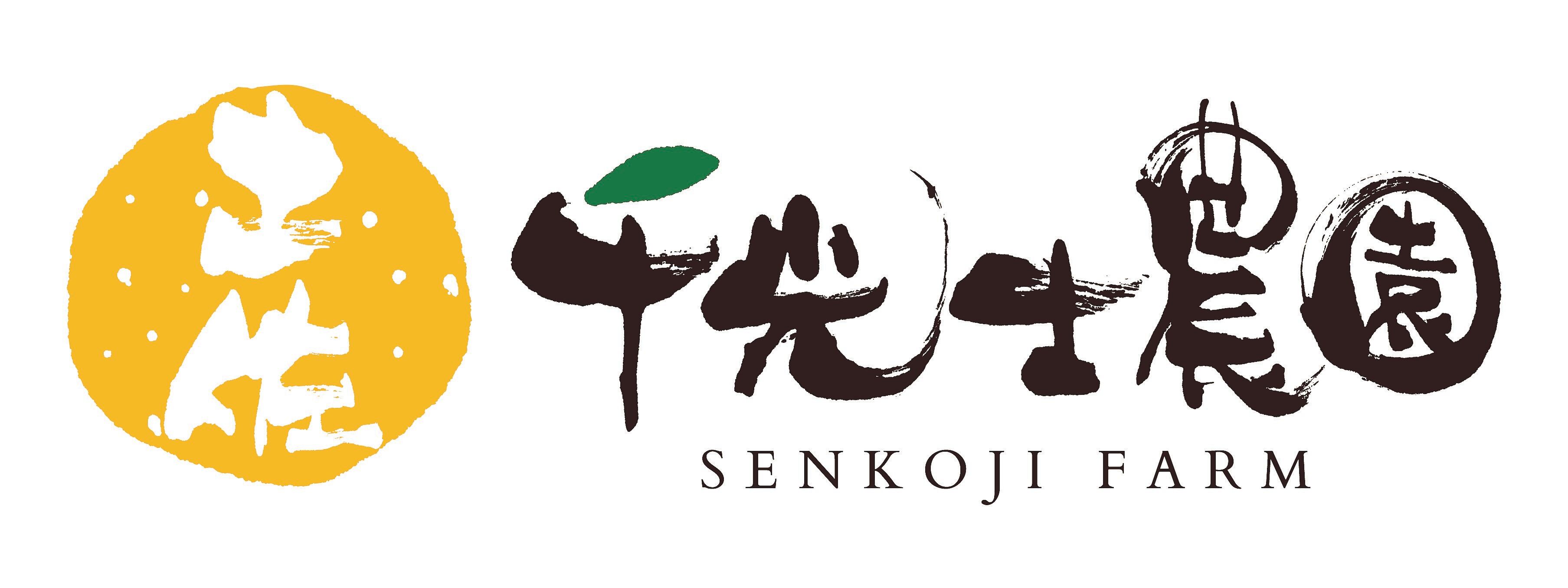 土佐文旦 3Lサイズ家庭用9kg入り×2 ご家庭用】土佐文旦 3Lサイズ 2玉 送料込み | 千光士農園