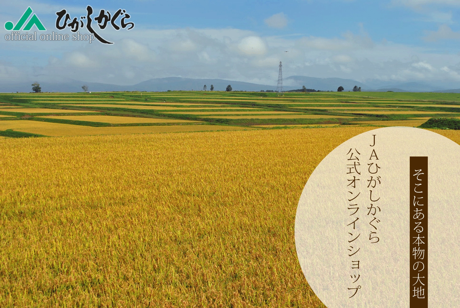 【公式】北海道 真空無洗米の通販｜ＪＡひがしかぐら