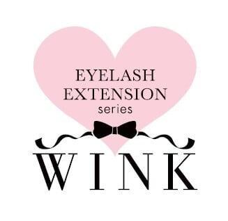 WINK PROFESSIONAL SCHOOL