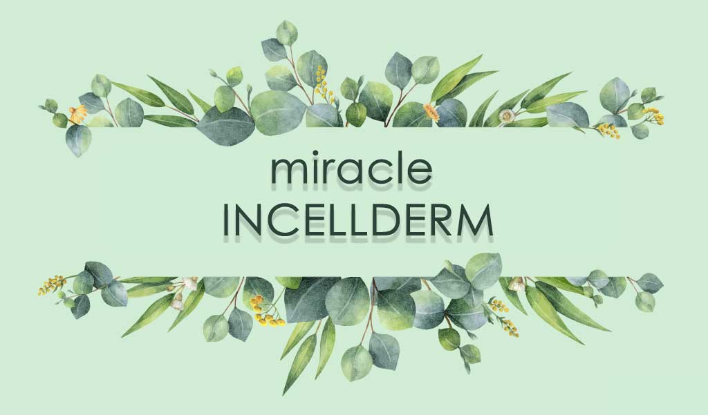 クッションファンデ(INCELLDERM 4D LUSTRE CUSHION) | miracle INCELLDERM