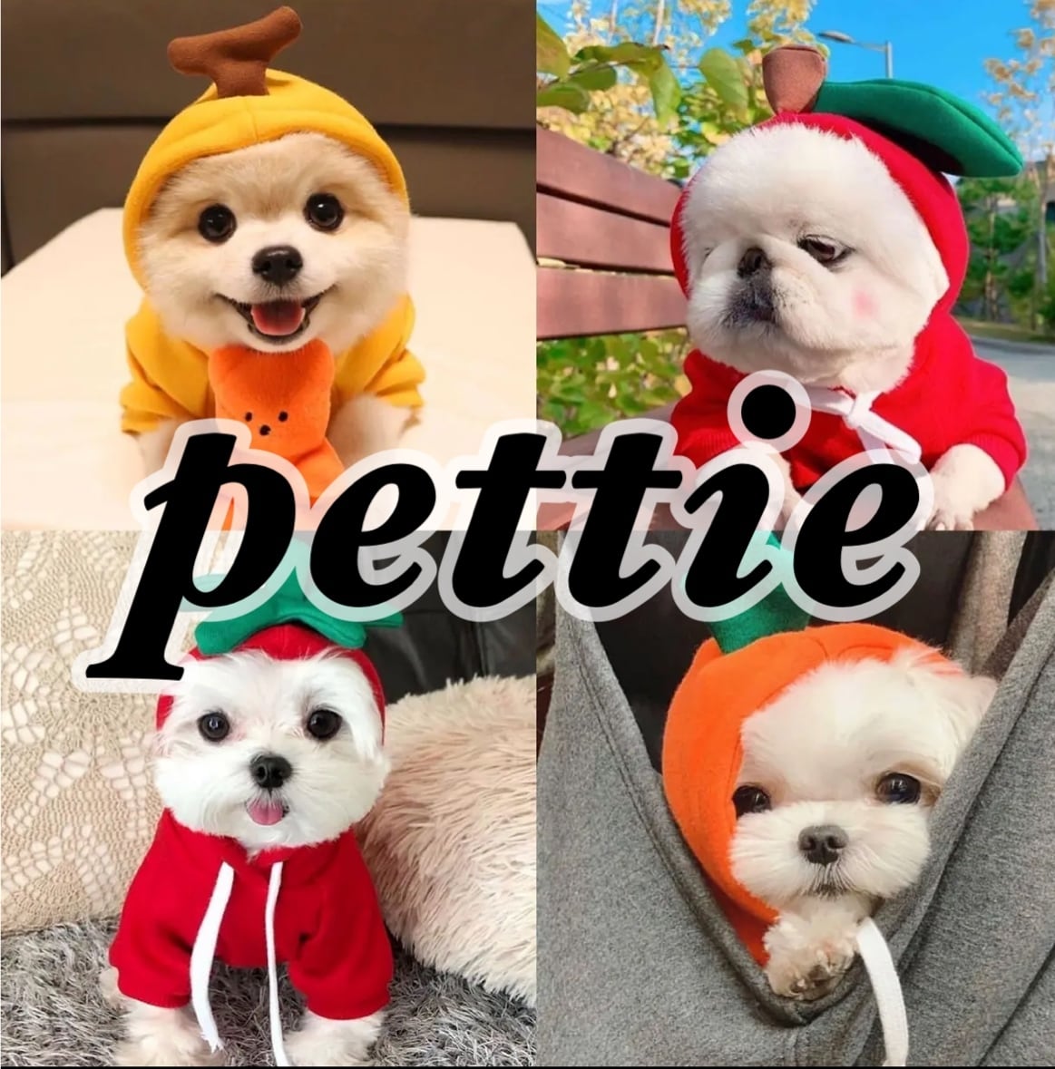 pettie