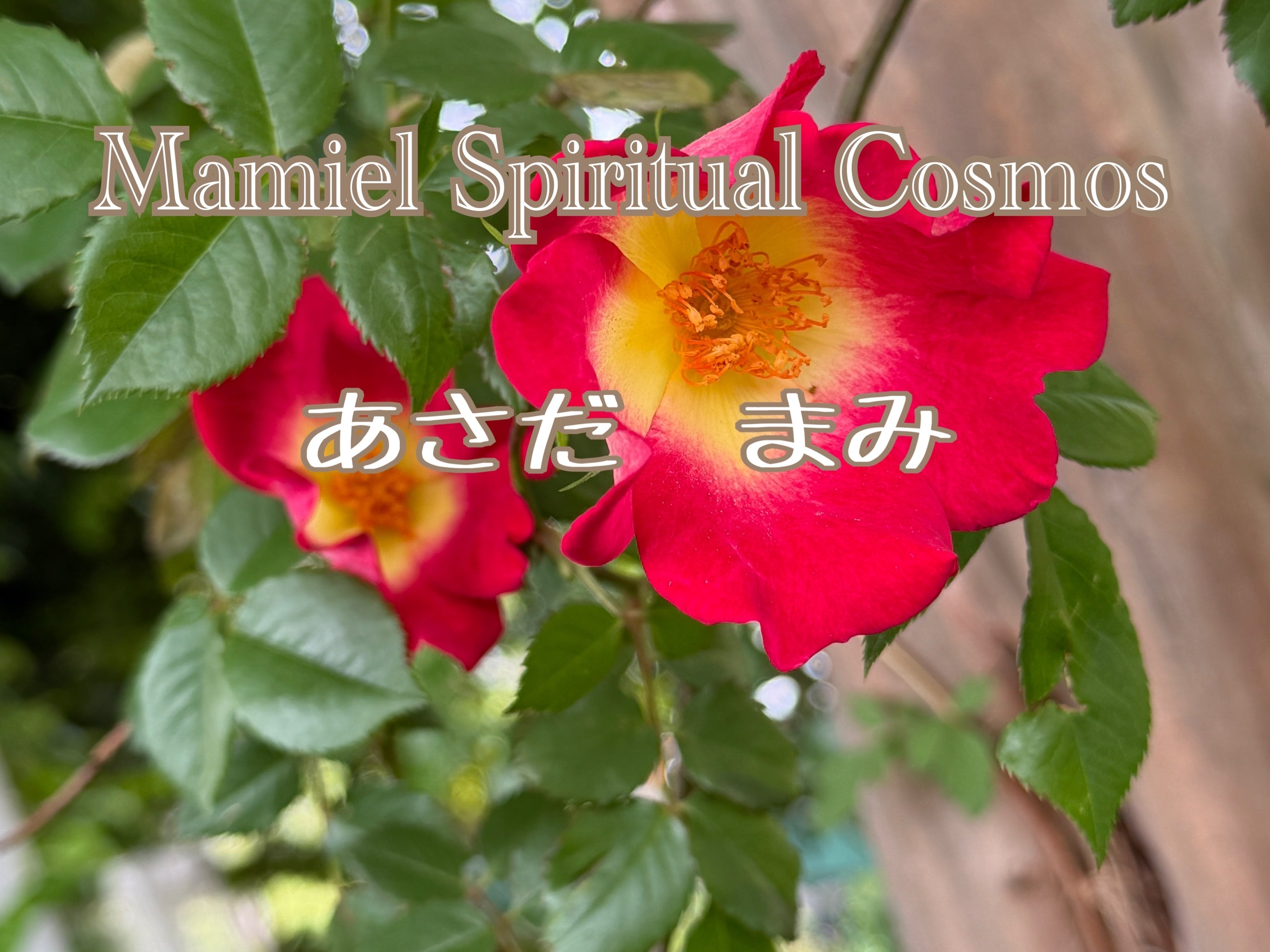 Mamiel Spiritual Cosmos