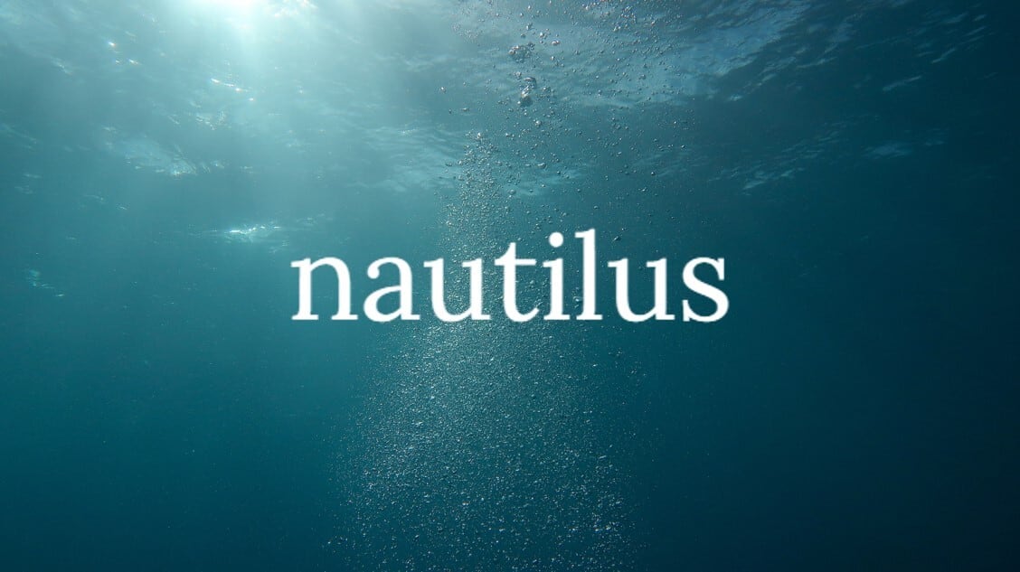 nautilus