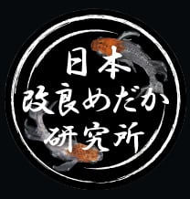 日本改良めだか研究所