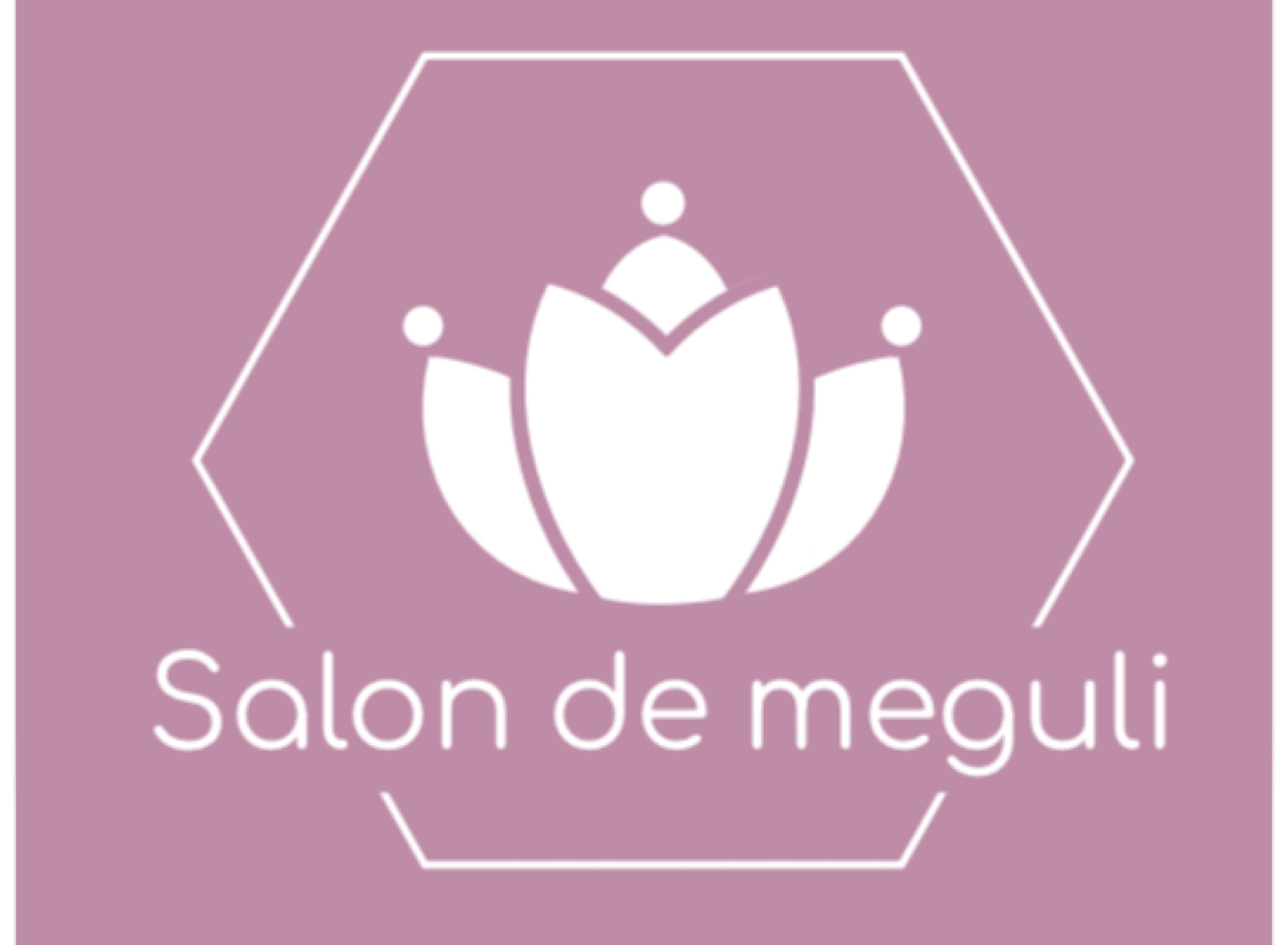 Salon de meguli