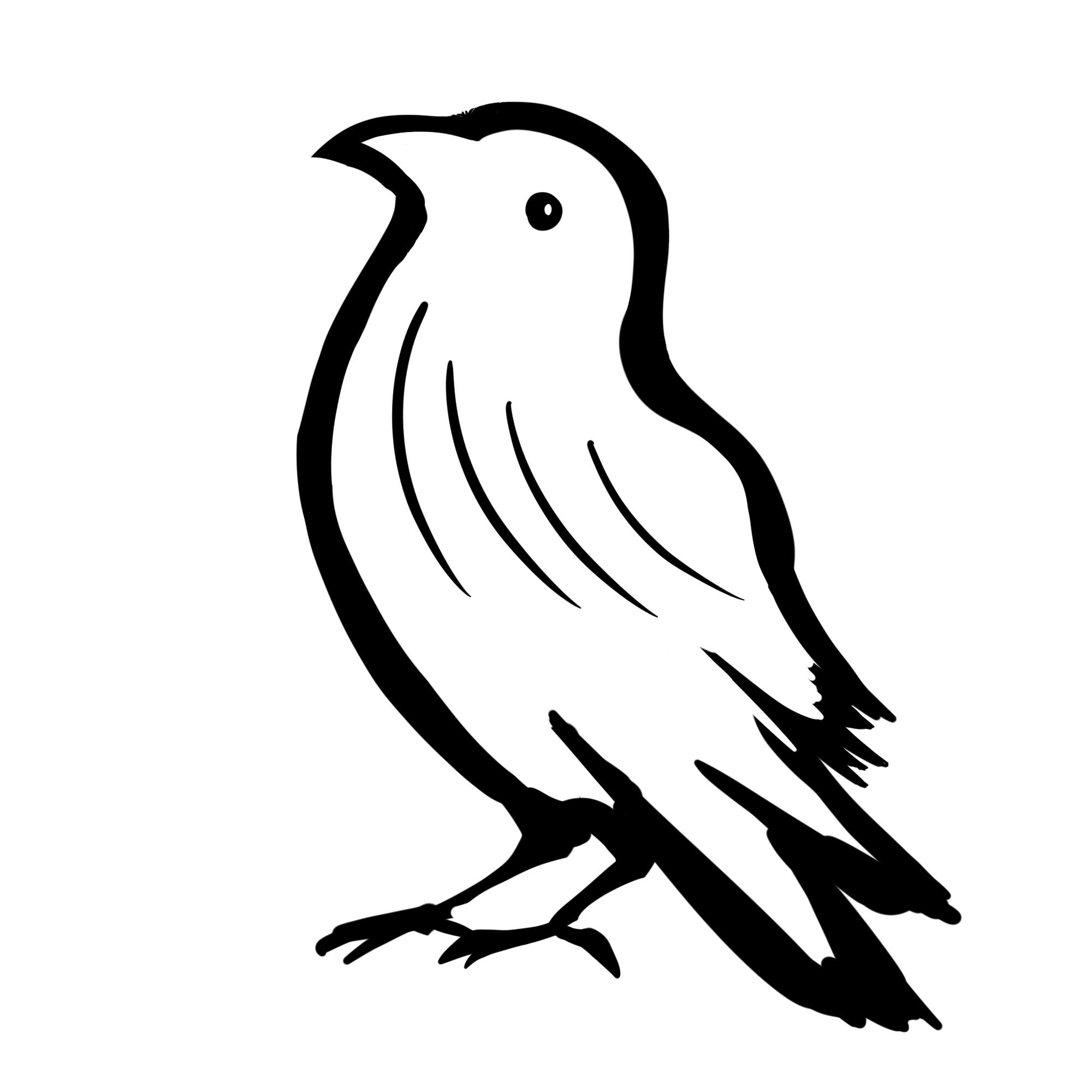 Crow Clan