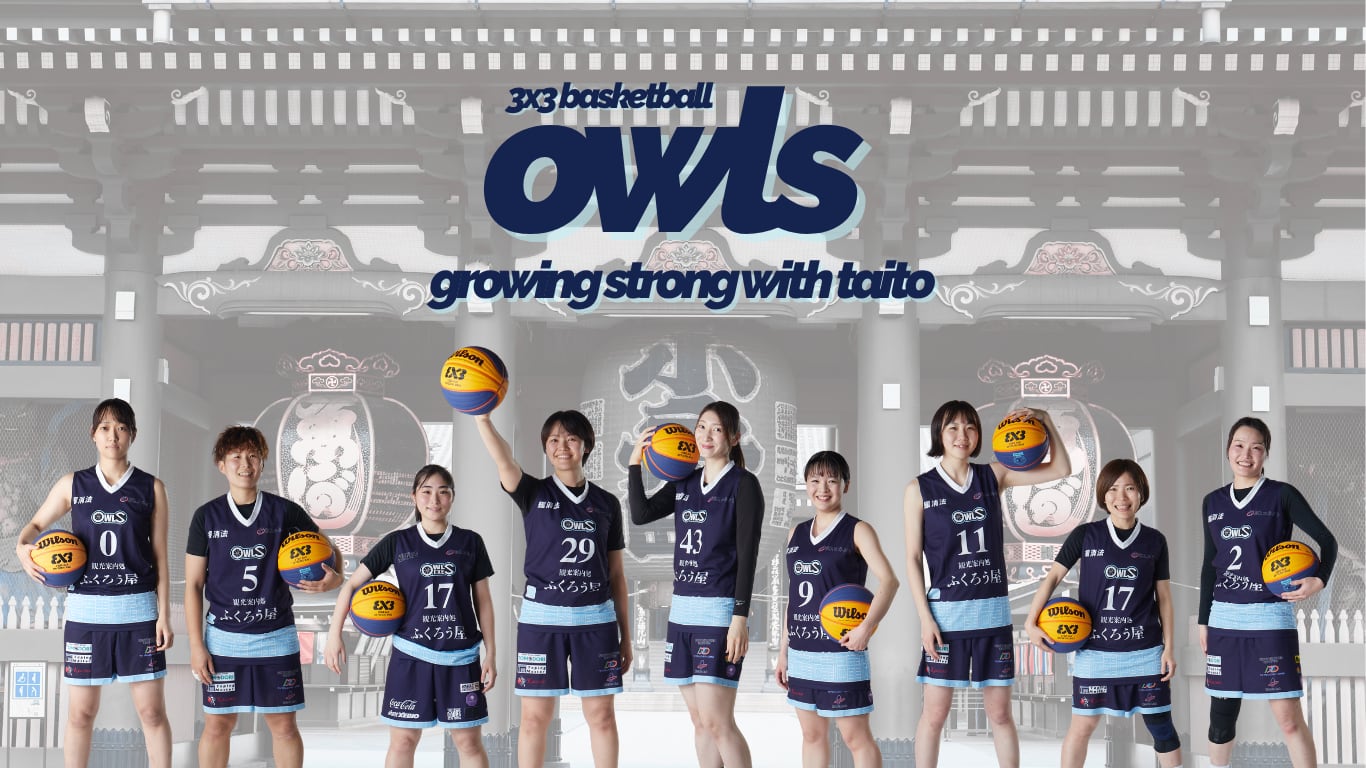 TAITO OWLS.EXE（アウルズ）