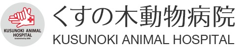 くすの木動物病院