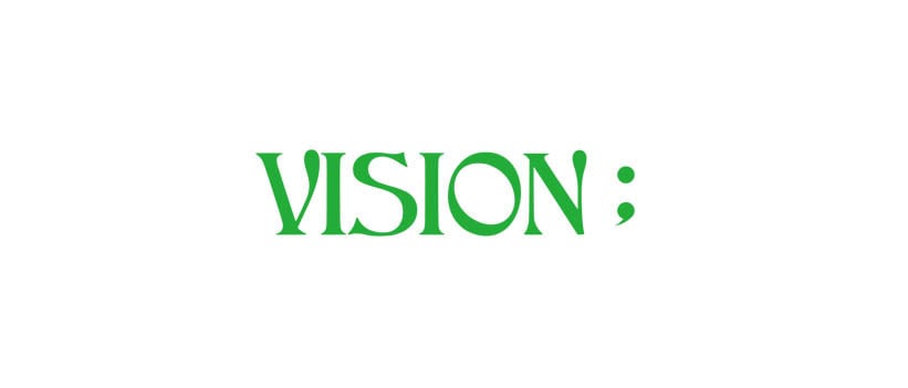VISION；
