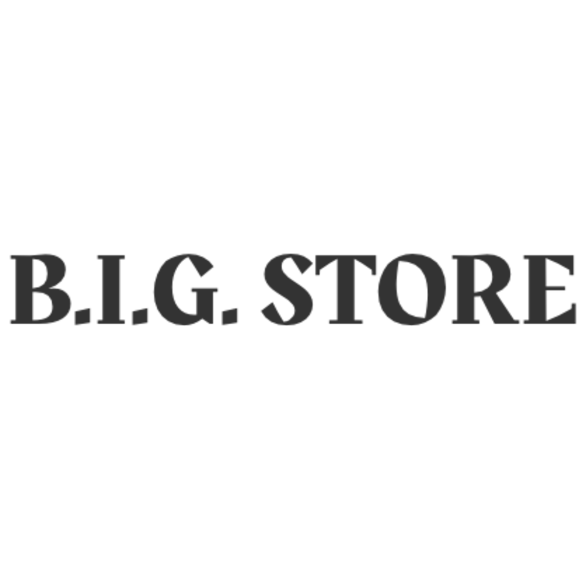 Big Surestore B.I.G. STORE