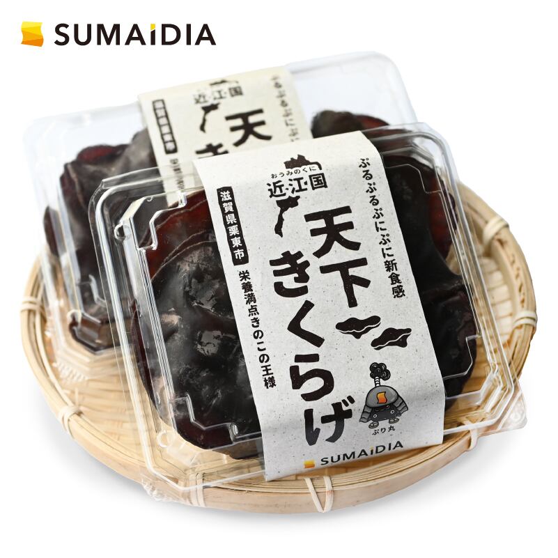 tenka-kikurage.sumaidia.jp