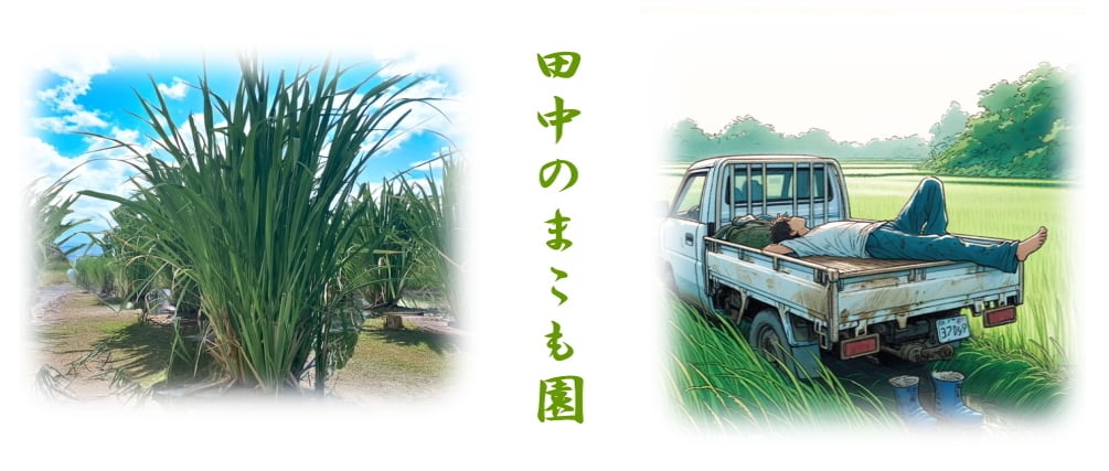 田中のまこも園