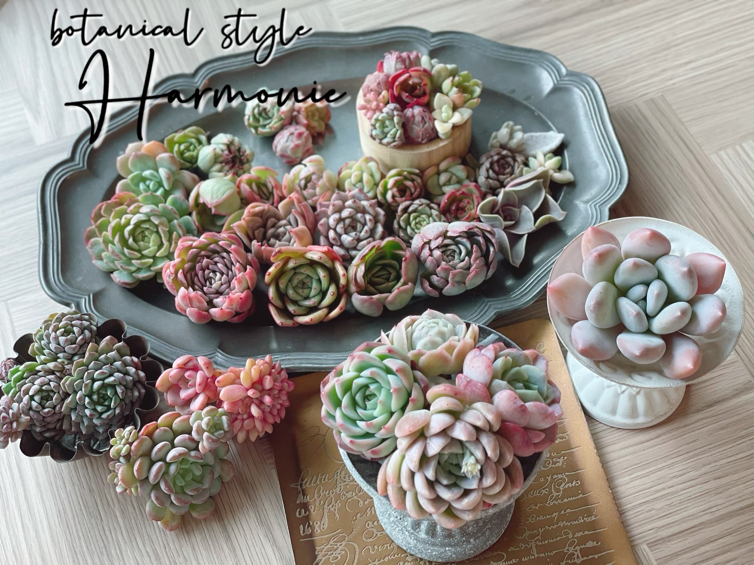 Harmonie 〜botanical style〜