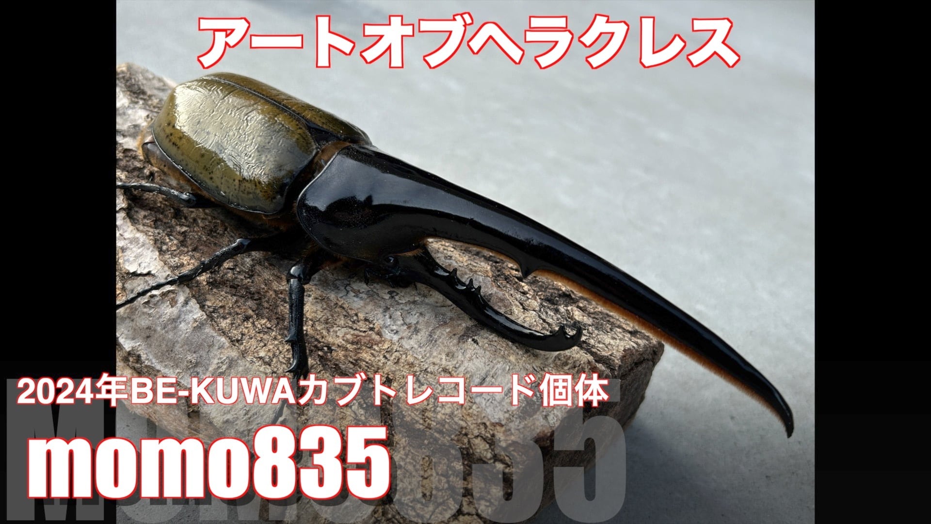 アートオブヘラクレス
