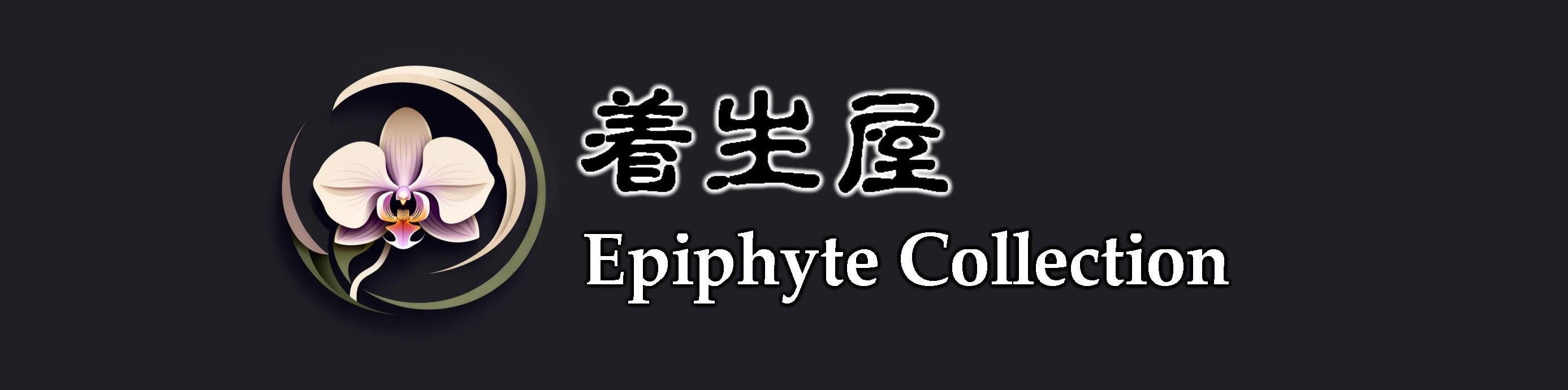 着生屋 Epiphyte Collection 