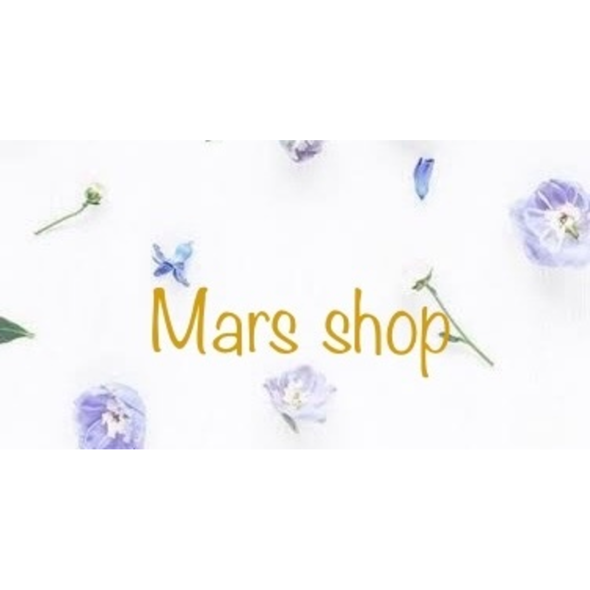 Mars Shop Rd mars2025