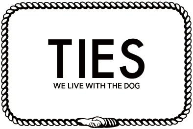 ties