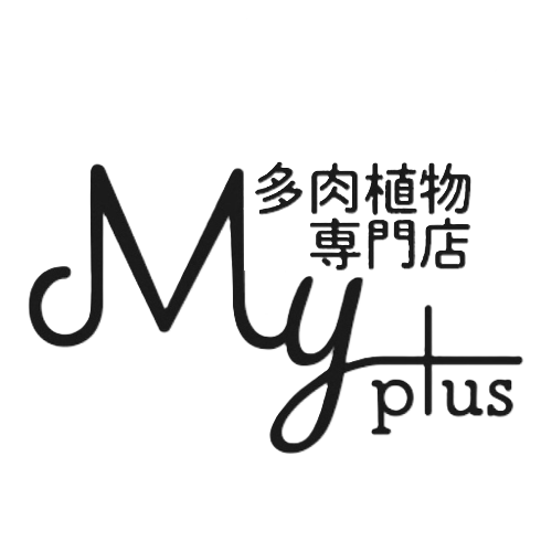 多肉植物専門店MYplus