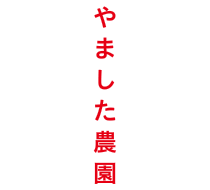 やました農園オンラインショップ - 福岡県産 完熟あまおう