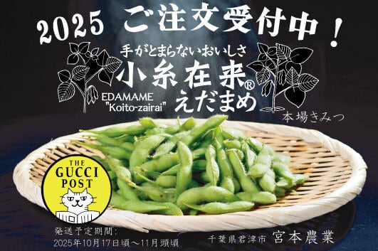 The Gucci Post 小糸在来(R)ご注文フォーム