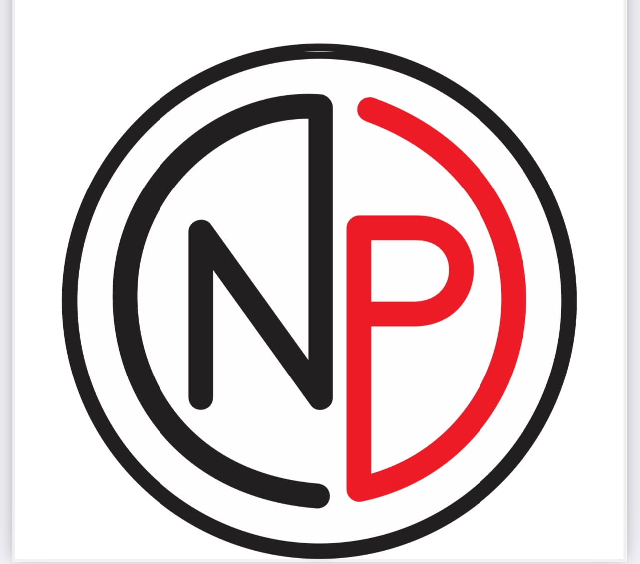 NP オリジナル ゴールキーパーグローブ