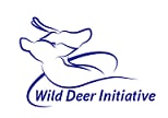 Deer Art
