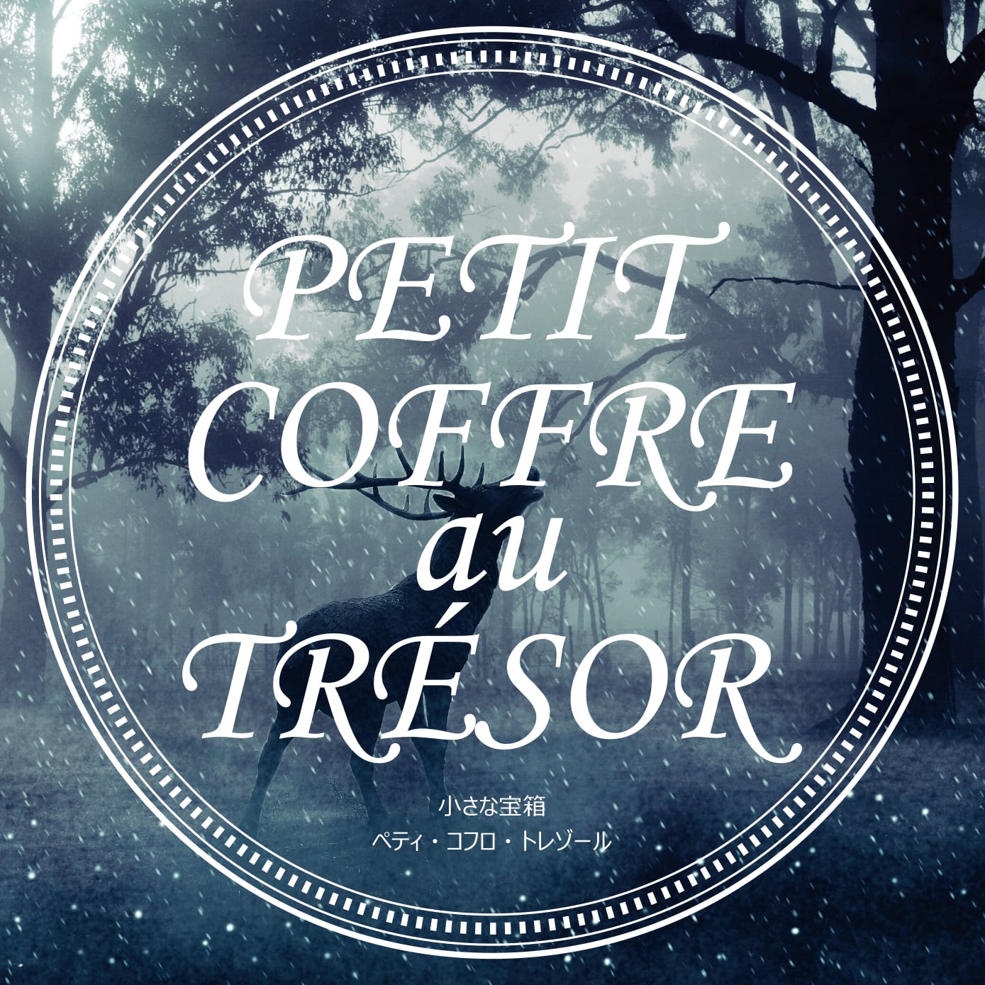 小さな宝箱 - PETIT COFFRE au TRESOR