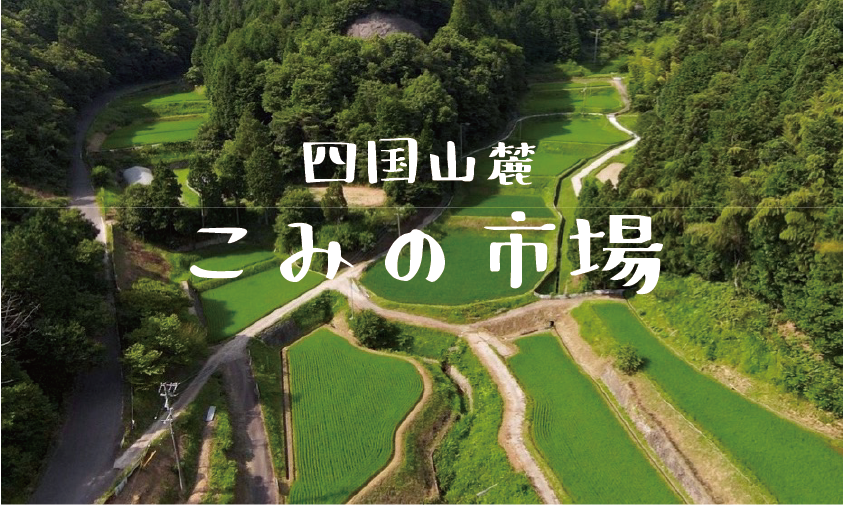 四国山麓　こみの市場