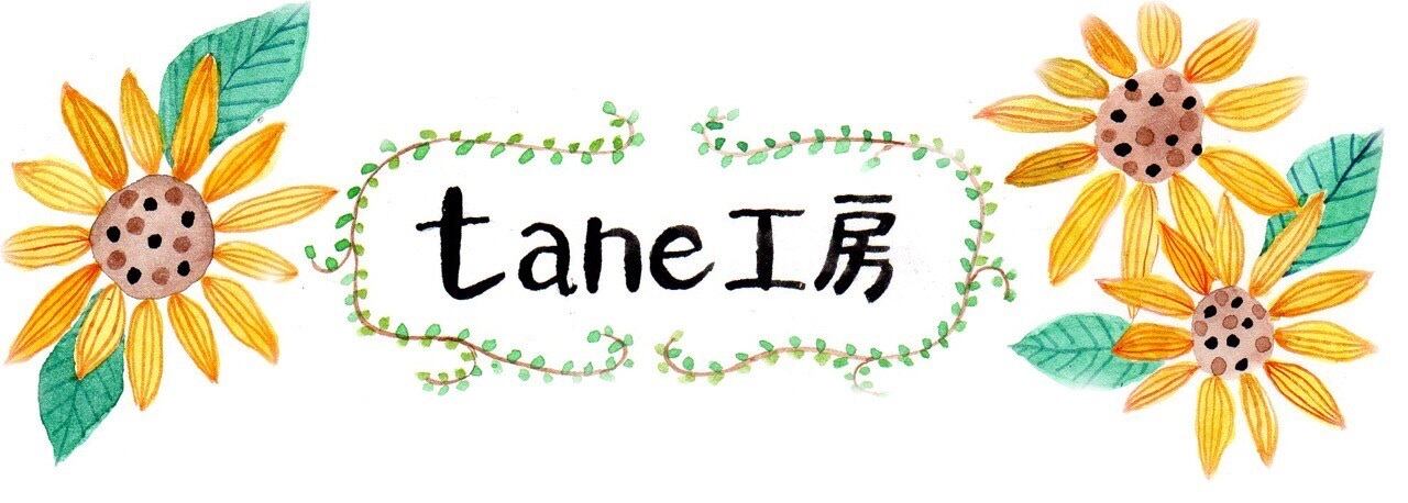 米粉シフォンケーキ tane工房