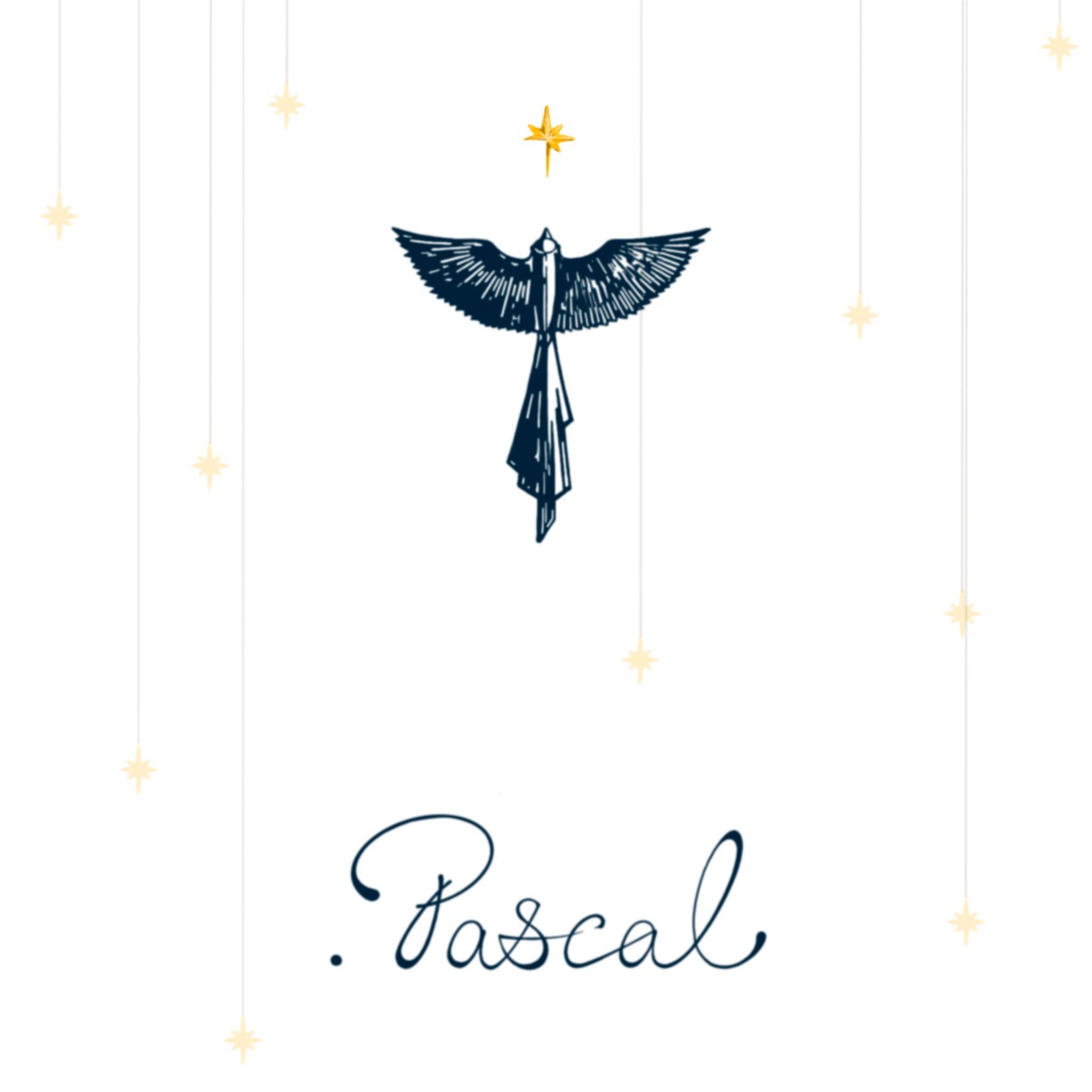 .pascal