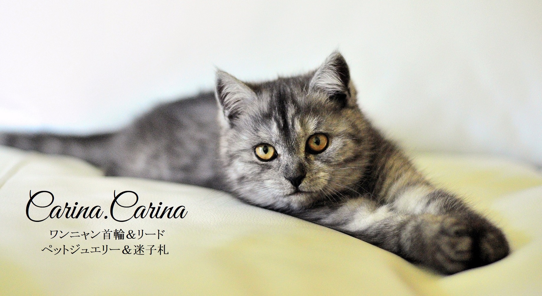 犬猫の皮膚に優しい首輪マクラメ編みCarina.Carina