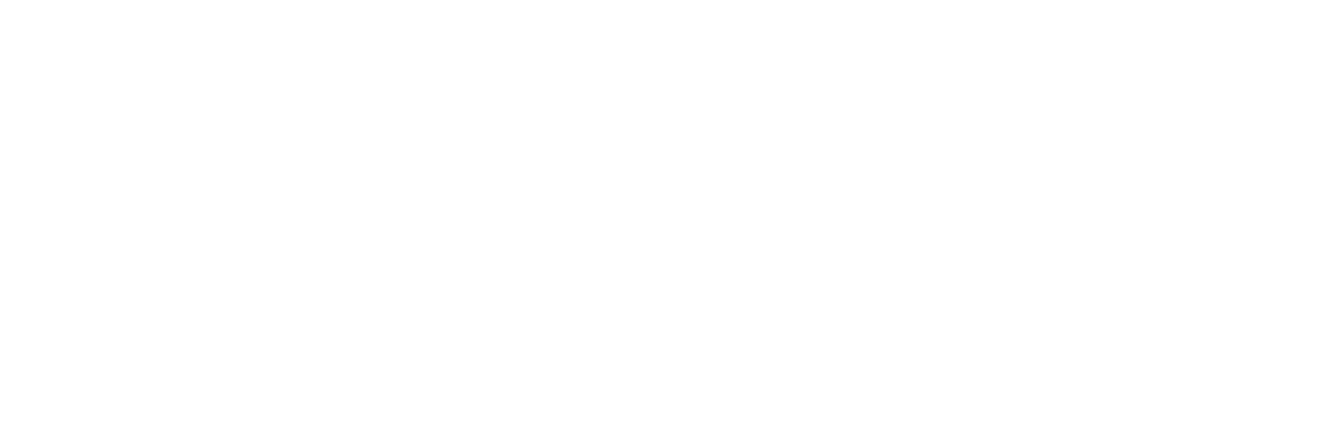 NEiGHBOR FLOW